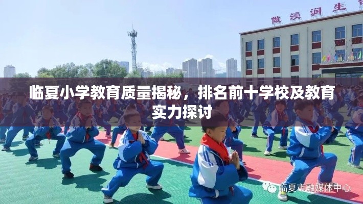 临夏小学教育质量揭秘,排名前十学校及教育实力探讨