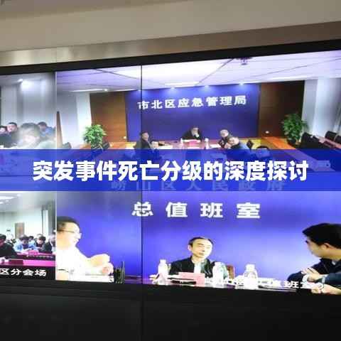 突发事件死亡分级的深度探讨