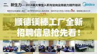 顺德镁棒工厂全新招聘信息抢先看!