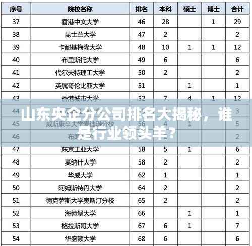 山东央企分公司排名大揭秘,谁是行业领头羊?