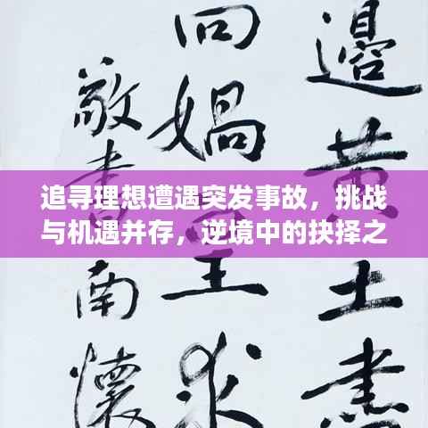 追寻理想遭遇突发事故,挑战与机遇并存,逆境中的抉择之路