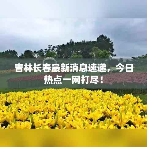 吉林长春最新消息速递,今日热点一网打尽!