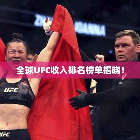 全球UFC收入排名榜单揭晓!