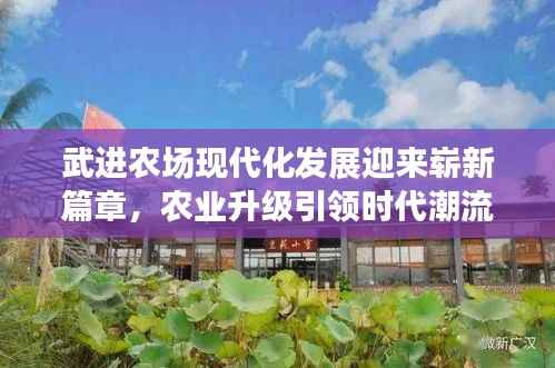 武进农场现代化发展迎来崭新篇章,农业升级引领时代潮流