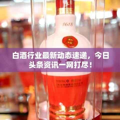 白酒行业最新动态速递,今日头条资讯一网打尽!