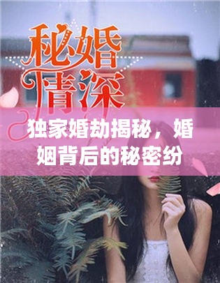 独家婚劫揭秘,婚姻背后的秘密纷争与纷争txt下载