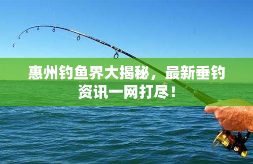 惠州钓鱼界大揭秘,最新垂钓资讯一网打尽!