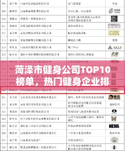 菏泽市健身公司TOP10榜单,热门健身企业排名揭晓