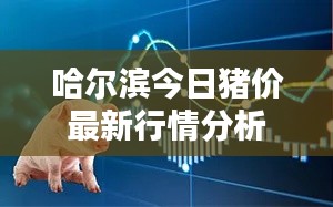 哈尔滨今日猪价最新行情分析