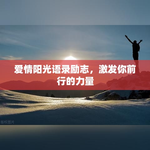 爱情阳光语录励志,激发你前行的力量