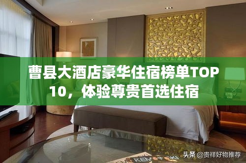 曹县大酒店豪华住宿榜单TOP10,体验尊贵首选住宿