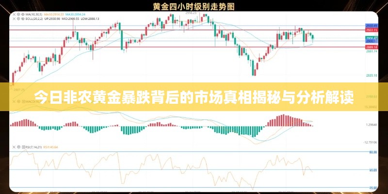 今日非农黄金暴跌背后的市场真相揭秘与分析解读
