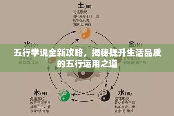 五行学说全新攻略,揭秘提升生活品质的五行运用之道