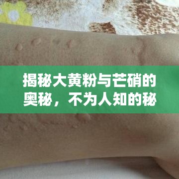 揭秘大黄粉与芒硝的奥秘,不为人知的秘密揭秘!